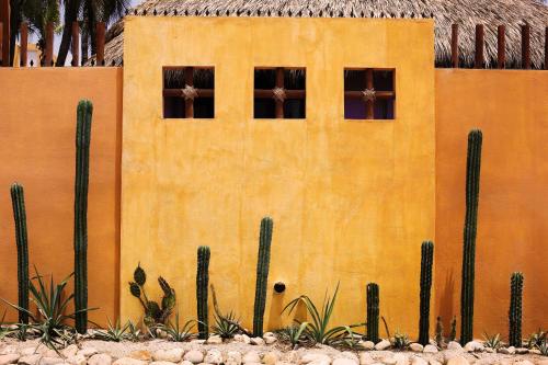 One Love Hostal, Puerto Escondido