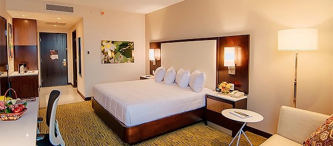 Hilton Garden Inn Puebla Angelópolis, Puebla