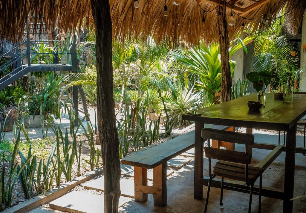 Puerto Dreams Hostel, Puerto Escondido