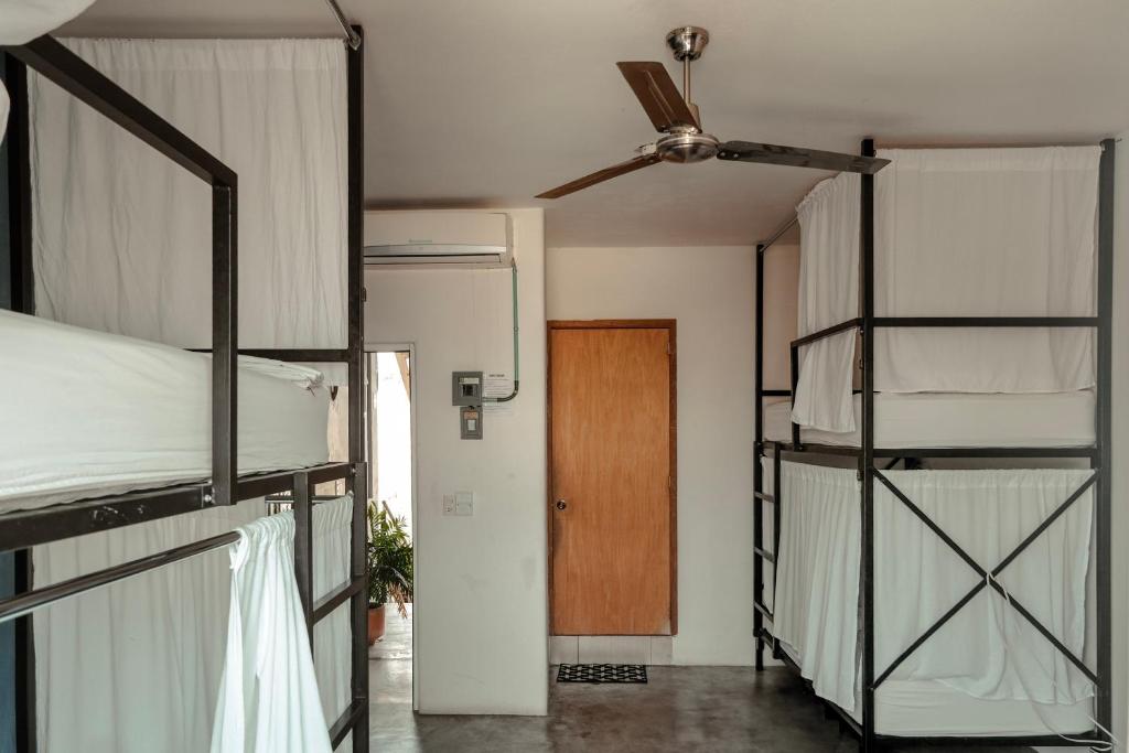 Puerto Dreams Hostel, Puerto Escondido