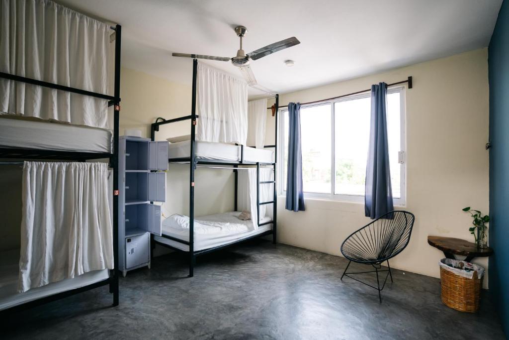 Puerto Dreams Hostel, Puerto Escondido