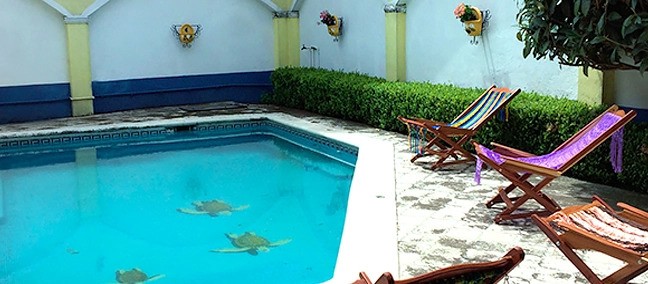 Tonatiuh, Cuernavaca