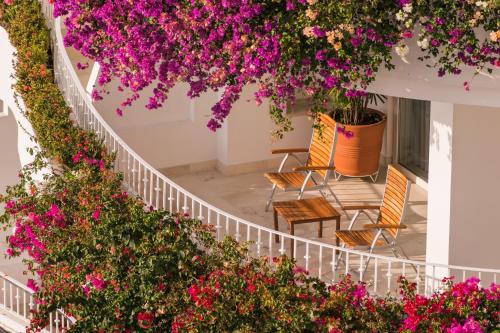 Grand Miramar All Luxury Suites and Residences, Puerto Vallarta