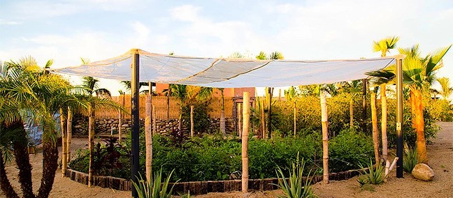 Tribu Todos Santos, Todos Santos