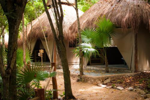 Akumal Natura, Akumal