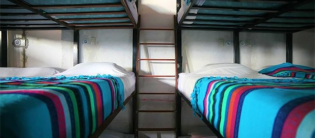Cult Wild Hostel, Sayulita