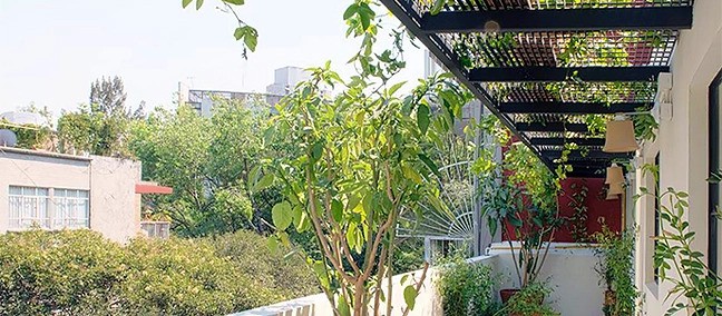 Izta 54, Ciudad de México