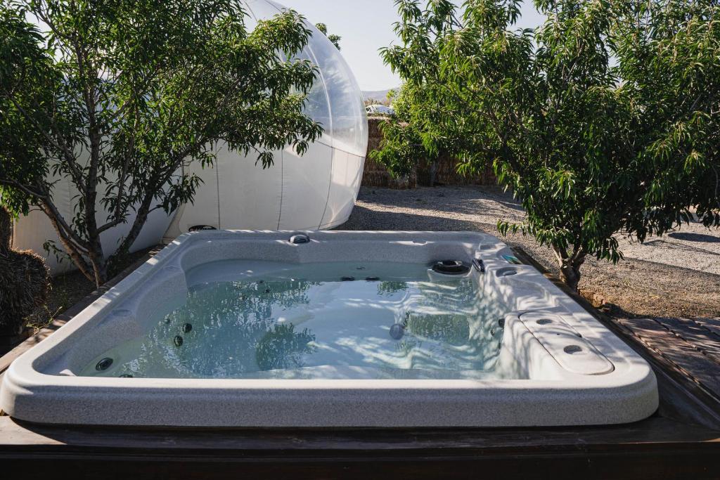 Campera Hotel Burbuja, Valle de Guadalupe