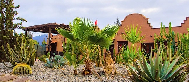 El Alamo, Valle de Guadalupe