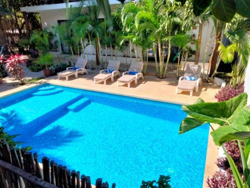 Azul 36, Bacalar