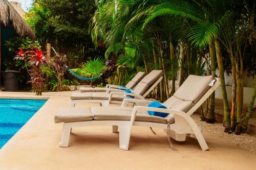 Azul 36, Bacalar
