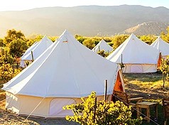 Guadalupe Luxury Tenting, Valle de Guadalupe