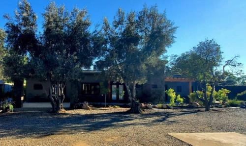 Casa Emiliana, Valle de Guadalupe