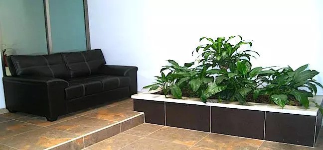 Aló Inn, Xalapa