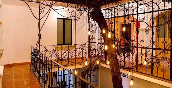 Agrado Guest House, Oaxaca