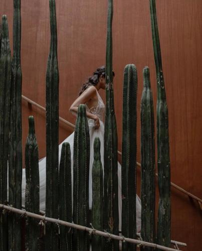 Casa Carmen by Amador Montes, Oaxaca