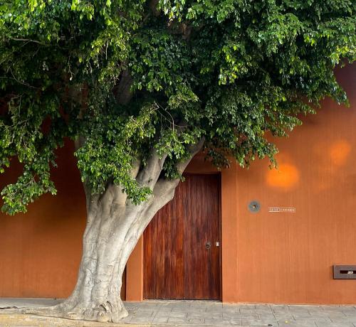 Casa Carmen by Amador Montes, Oaxaca