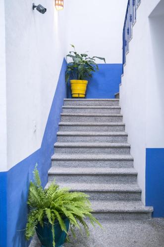 Casa Nawalli, Sayulita