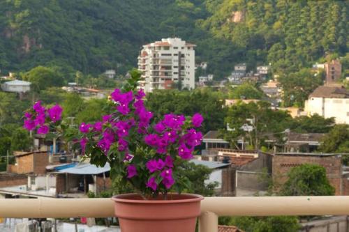 Oasis Hostel, Puerto Vallarta