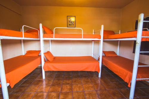 Oasis Hostel, Puerto Vallarta