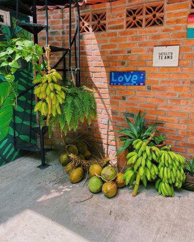 La Redonda Hostal, Sayulita