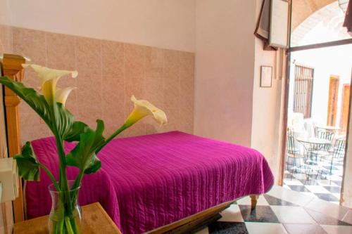 Casa Lupita Homestay, Guanajuato