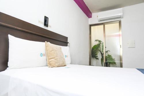 Pa'xa Mama Hotel Boutique, Cancún