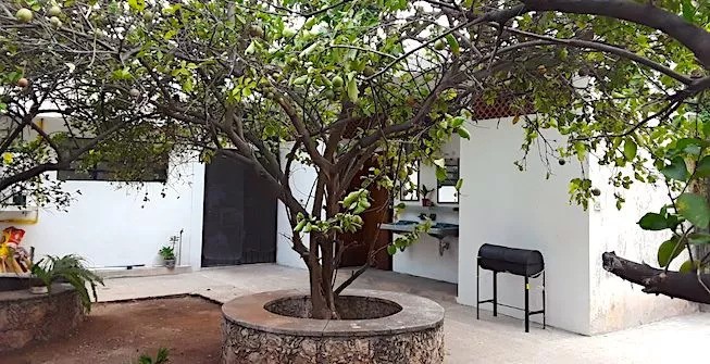 Spanglish Hostel, Mérida