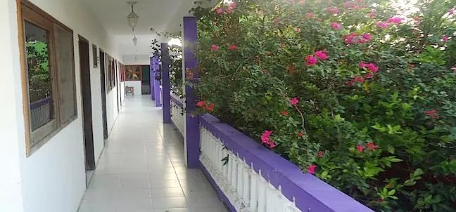 Casa Bugambilias Hotel, Tecolutla, Veracruz - Cheap Prices Guaranteed