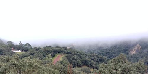 Roseville, Chignahuapan
