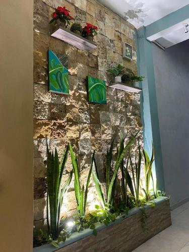 San Miguel, Progreso