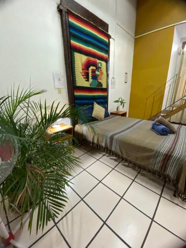 Hostal Luz de Luna, Oaxaca