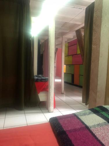 Iguana Hostel, Oaxaca