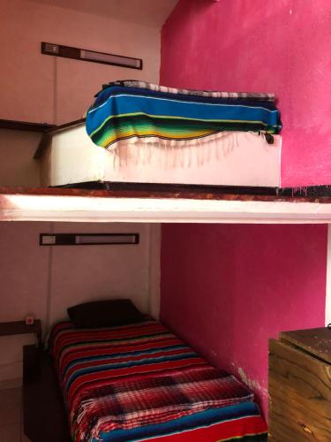 Iguana Hostel, Oaxaca