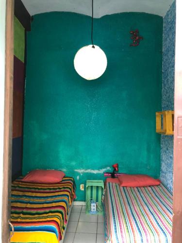 Iguana Hostel, Oaxaca