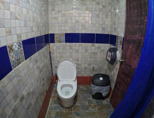 Iguana Hostel, Oaxaca