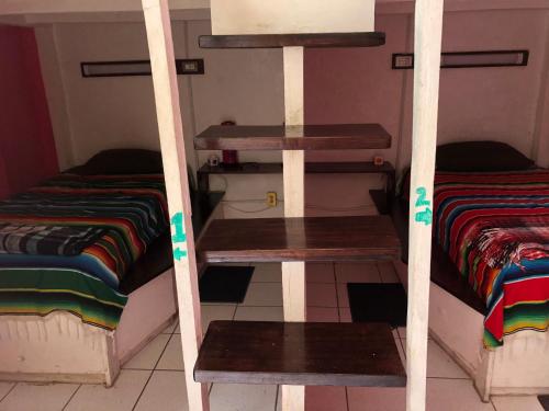 Iguana Hostel, Oaxaca