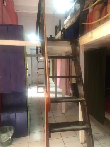 Iguana Hostel, Oaxaca