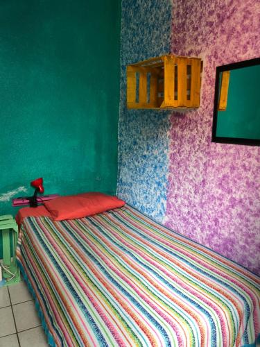 Iguana Hostel, Oaxaca