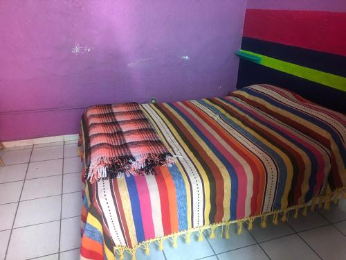 Iguana Hostel, Oaxaca