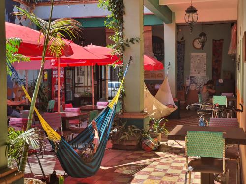 Hierba De Conejo Hostel, Oaxaca