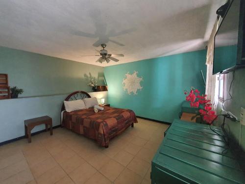 Hierba De Conejo Hostel, Oaxaca