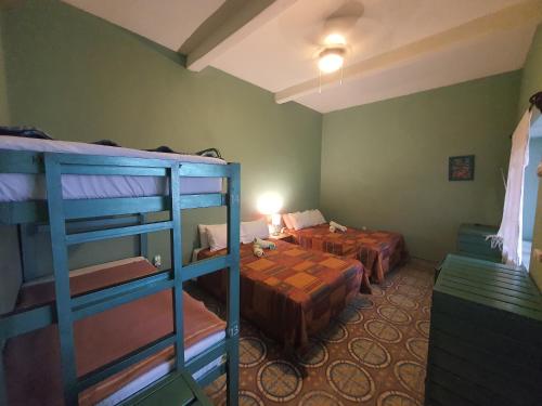 Hierba De Conejo Hostel, Oaxaca