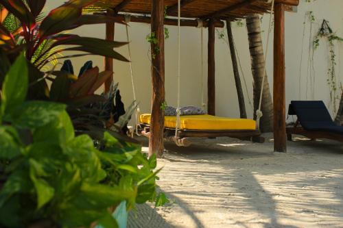 Tierra Mía, Holbox