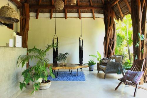 Tierra Mía, Holbox
