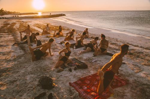 Hostel Che Holbox, Holbox
