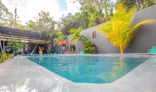 Turquoise Petit, Tulum