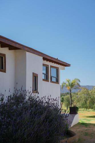 Villa Victoria, Valle de Guadalupe