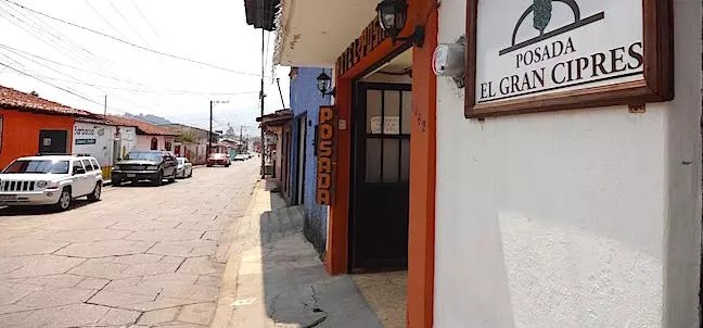 El Gran Cipres, San Cristóbal de las Casas