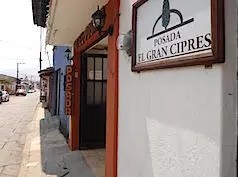 El Gran Cipres, San Cristóbal de las Casas